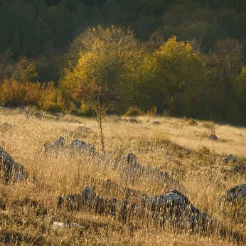 Geoparcul Platoul Mehedinți